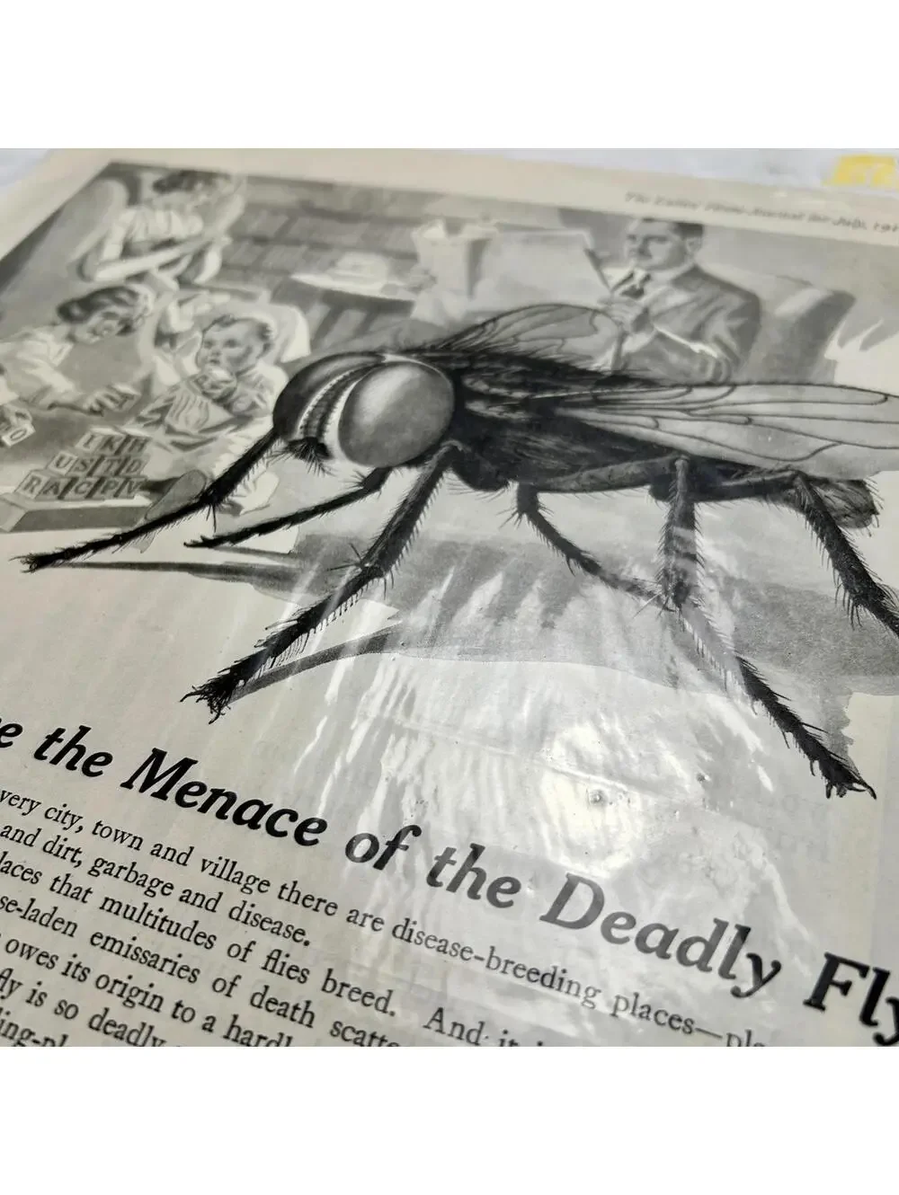 Vintage 1919 Lysol Disinfectant Ad‎ Ladies Home Journal Deadly Fly Art